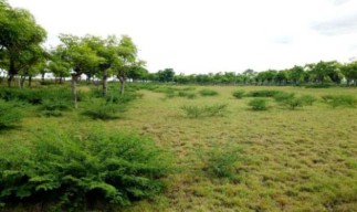 Pantai Pandanan Disiapkan Khusus untuk Perempuan