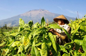 Tak Berizin, Minimarket dan Cafe Ditutup Paksa