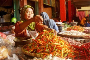 Pemprov Kelimpungan Atasi Serbuan Cabai Impor