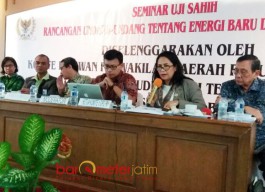 Energi Fosil Menipis, DPD Bahas RUU Energi Baru-Terbarukan