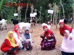 Mengenal NCI, Ormas Perempuan NU yang Bukan Banom NU