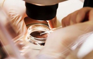 Ahli: Pihak Dirugikan Bisa Ajukan Gugatan Wanprestasi