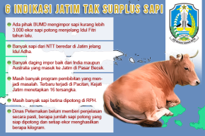 Jatim Tak Surplus Sapi, yang Ada Gagal Swasembada Daging