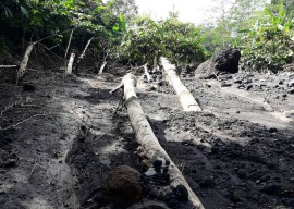 Alih Fungsi Hutan Lindung Picu Longsor di Gunung Lemongan