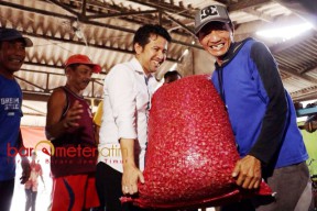 Di Nganjuk, Emil Berkeringat Bersama Petani Bawang