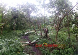 Posko di Gunung Lemongan Dirusak, Polisi Diminta Bertindak