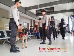 Patroli di Stasiun, Polrestabes Temukan Satwa Langka