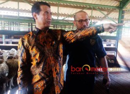 Dilaunching Mentan, Jatim Kirim 60 Ribu Ekor Domba ke Malaysia