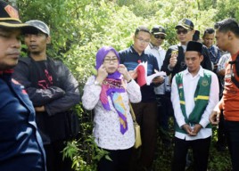 Kasus Perusakan Hutan Lindung, Aktivis Kecewa Tuntutan JPU
