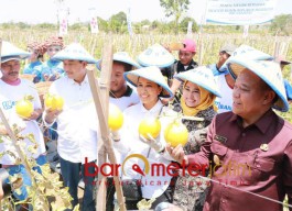 Menteri BUMN Janjikan Desa Sendangharjo Kawasan Melon