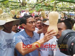 Kebijakan Pertanian dan Pangan, Sandi Haram Intervensi Asing