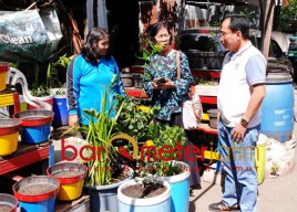 Tak Hanya Taman Kota, Surabaya Butuh Urban Farming