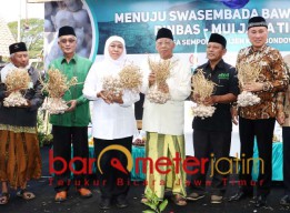 Swasembada Bawang Putih, Jatim Berpacu dengan Impor