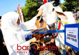 Daging Kurban, Khofifah: Pakai Besek Gerakkan Sektor UKM