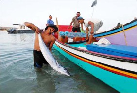 Ikuti Jabar, Jatim Uji Coba GPS Pelacak Ikan untuk Nelayan