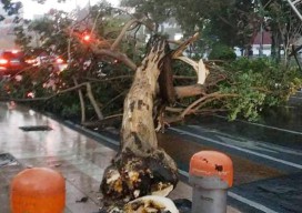 Cegah Banjir seperti di Jakarta, Pemprov Jatim Modifikasi Cuaca