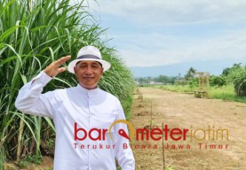 Ancaman Krisis Energi Arum Sabil: Lirik Bioenergi Perkebunan