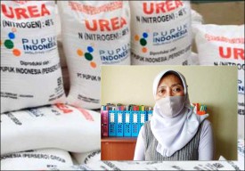 Pupuk Subsidi di Lamongan Langka 3 Hal Ini Jadi Penyebab