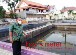 Pandemi, Yuk Budidaya Udang Vaname Skala Rumah Tangga