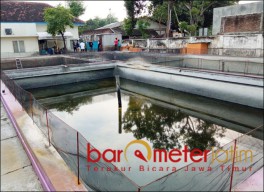 Budidaya Udang Dicap Ilegal DKP Jatim Bantah Habis-habisan