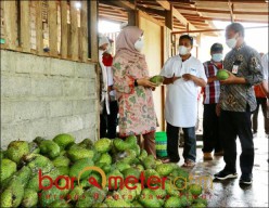 Frozen Fruit Banyuwangi Tembus Pasar Jakarta hingga Mataram