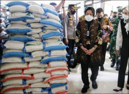 Risma: Beras Rusak Volumenya Kecil, Langsung Diganti Baru