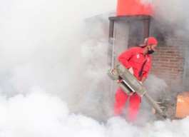 Awal 2022, Puluhan Warga Jawa Timur Diserang Demam Berdarah