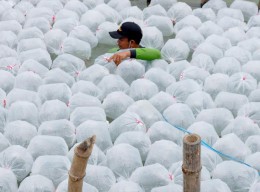 Eri Cahyadi Target MBR di Surabaya Turun dari 979.624 Jadi 300 Ribu Jiwa, Gimana Caranya