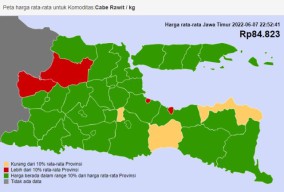 Harga Cabai di Jatim Makin Pedas Apa Strategi Khofifah untuk Mengatasinya