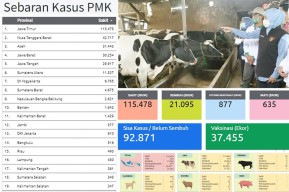 Wabah Penyakit Mulut dan Kuku Sasar 19 Provinsi, Terbanyak di Jawa Timur