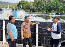 Jumlah Petani Makin Turun, Solusi Anwar Sadad: Kawinkan Pertanian dengan Teknologi