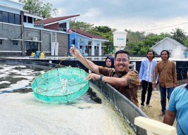 Motivasi Berwirausaha, Anwar Sadad Usung Anak Muda Kunjungi MSF di Situbondo
