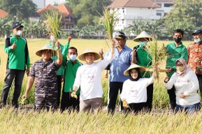 Kota Surabaya Sabet Penghargaan Peduli Ketahanan Pangan Tahun 2022
