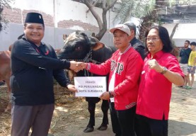 PDIP Surabaya Kurban 14 Sapi, Adi Sutarwijono: Idul Adha Momen Perkuat Gerakan ke Akar Rumput!