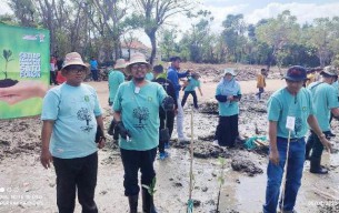 Tanam Ratusan Mangrove di Sumenep, Bupati Fauzi: Ya Jaga Ekosistem, Ya Bikin Wilayah Pesisir Makin Asri!