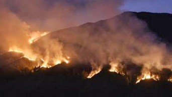 Kebakaran di Bromo, Alumnus Teknik Lingkungan ITS: Tersangka Jangan Berhenti di Wedding Organizer!