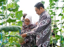 Pertahankan Predikat Lumbung Pangan Nasional, Lamongan Dukung Diversifikasi Pertanian