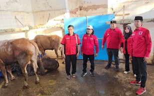 3 Pilar PDIP Surabaya Berkurban 15 Sapi, Adi Sutarwijono: Idul Adha Perkuat Jiwa Gotong Royong!
