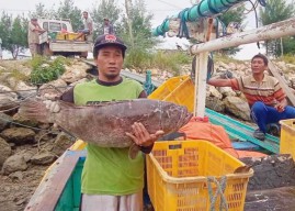 Gencar Promosikan Program Gemarikan, Angka Konsumsi Ikan di Lamongan Meningkat!