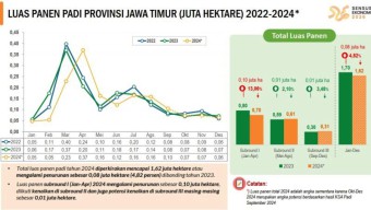 Luas Panen Padi di Jatim Turun hingga 4,82%! LaNyalla Ingatkan soal Swasembada Beras dan Pangan