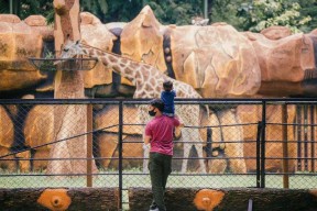 KBS Masih Primadona Wisata Keluarga, Libur Lebaran Dibanjiri 72,5 Ribu Wisatawan!