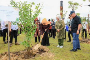 Khofifah Tanam 8 Pohon Maja di IKN, Apa yang Ingin Dicapai?