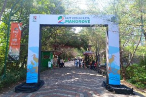 Baru Berusia 2 Tahun, Kebun Raya Mangrove Surabaya Berprestasi Level Dunia!