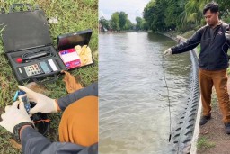 Ikan Mabuk Muncul di Banyu Urip dan Kalimas Surabaya, Ini Penyebabnya!