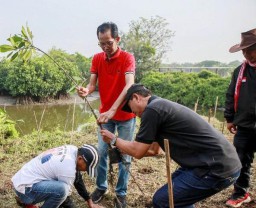 Kompak! Adi Sutarwijono Bareng Kader PDIP Surabaya dan Warga Tanam Mangrove