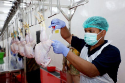 Pemkot Surabaya Awasi Ketat Usaha di Permukiman, Tanpa Izin Wajib Ditutup!