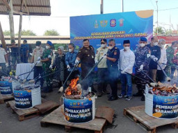 Bernilai Rp 19,6 Miliar, 13,2 Juta Batang Rokok Ilegal Dimusnahkan di Sidoarjo!