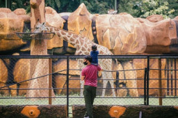 Kursi Direksi KBS Kosong, DPRD Surabaya Buka Opsi Dikelola Pihak Ketiga!