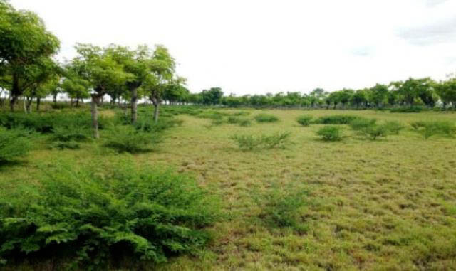 Pantai Pandanan Disiapkan Khusus untuk Perempuan