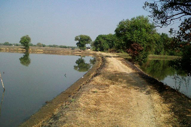 Rp 70 Miliar untuk Pembebasan Lahan Pamurbaya